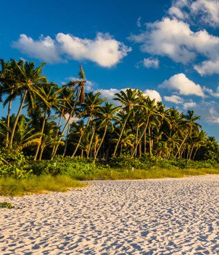 Naples Beaches