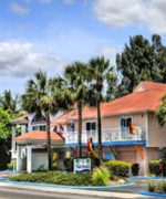 Palm Terrace