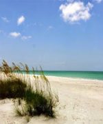 VIP Vacations Rentals