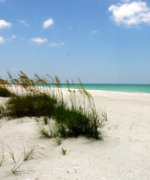 VIP Vacations Rentals