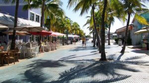 Walkway-with-palm-trees