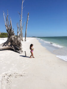 Lover's Key State Park