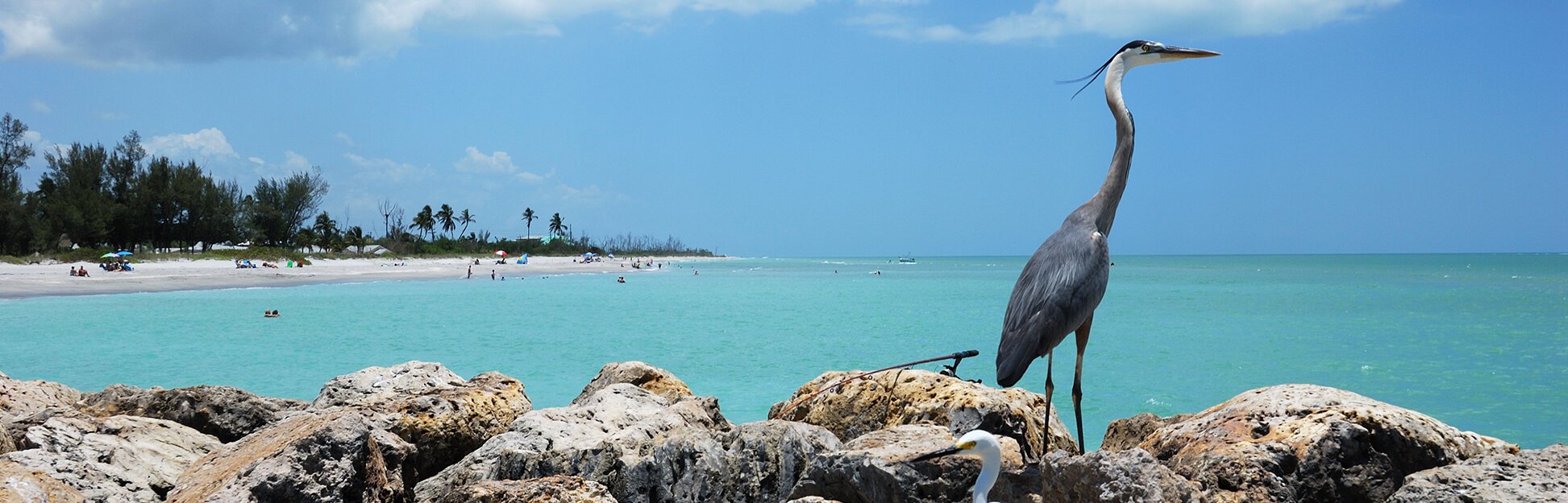 Captiva Island Florida Private Investigators Private Investigations Captiva Island Florida Private Investigators Private Investigations