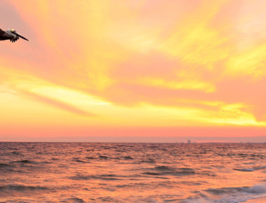 Info - Southwest Florida Travel