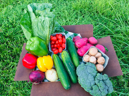 Southwest Florida Produce