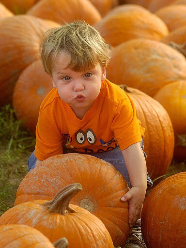 Pumpkin Patch